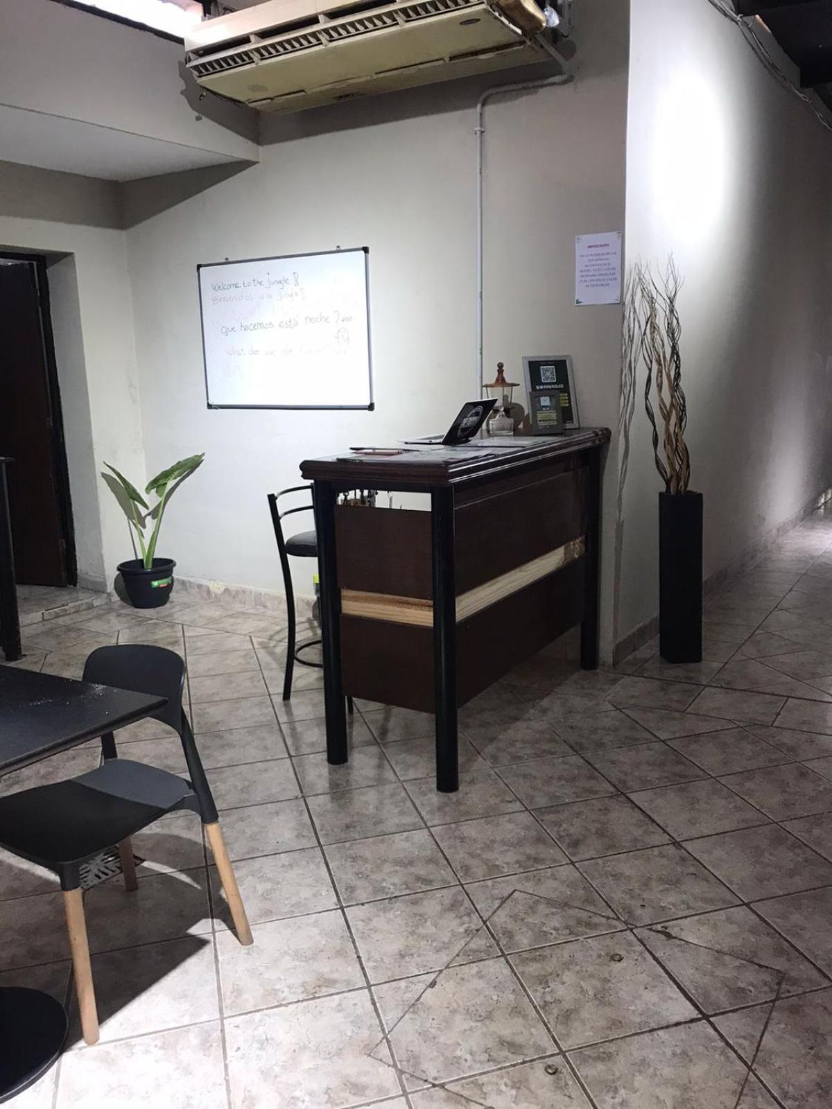 San Miguel de Tucumán Urban Jungle Hostel מראה חיצוני תמונה